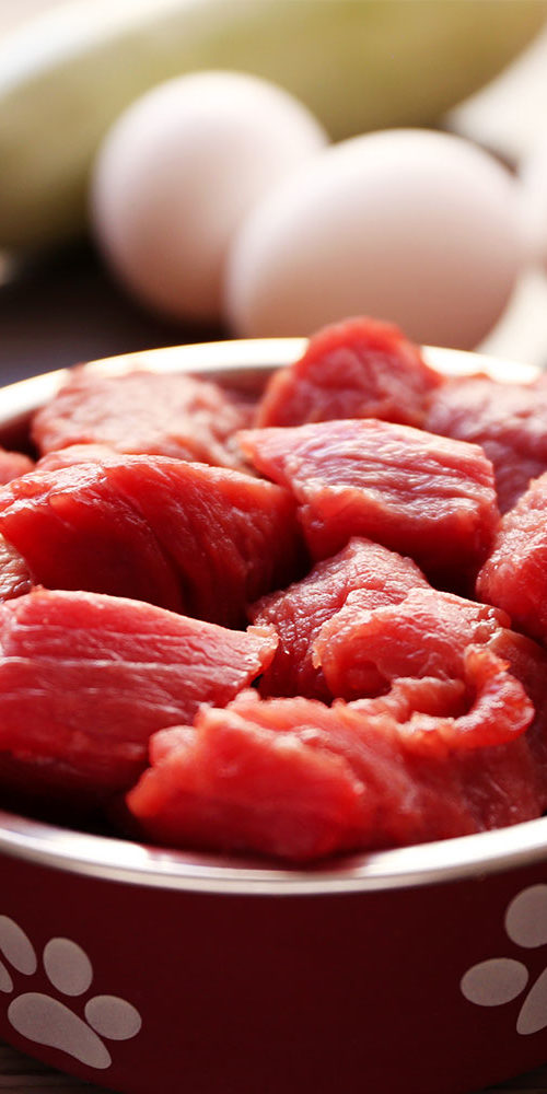 Home Robinson Veterinary Services