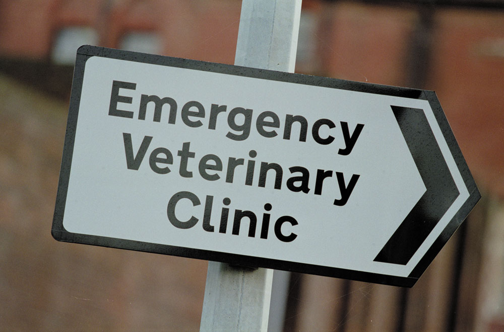 After Hours Emergency Service Robinson Veterinary Services