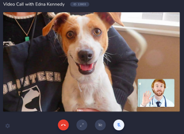 Video Telemedicine Consultations